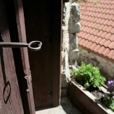 Evgenia's House Séjour à la campagne