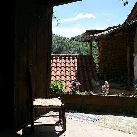 Evgenia's House
