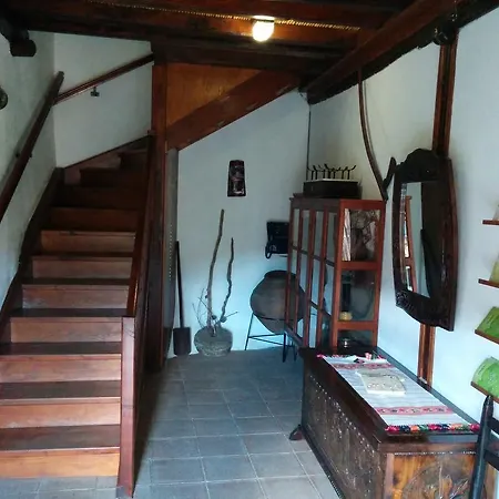 Evgenia's House